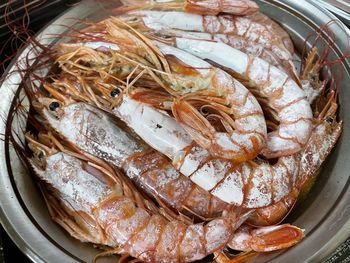 High angle view of seafood in container