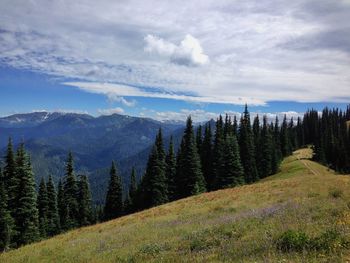 Scenic view of landscape against cloudy sky