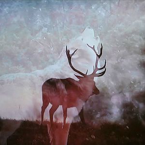 Digital composite image of deer