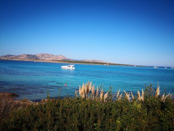 Scenic view of sea against clear blue sky