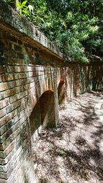 View of abandoned wall in forest