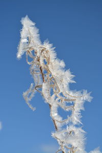 Close-up low angle view of blue sky