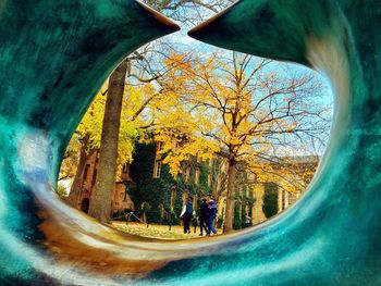 Tourists on tree