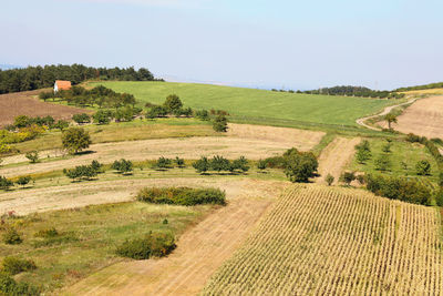 Scenic view of agricultural field against sky