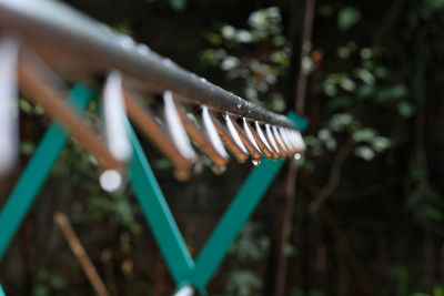 Close-up of clothespins on clothesline