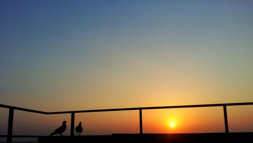 Silhouette people walking on railing at sunset