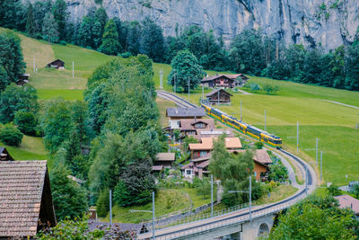 High angle view of trees and buildings