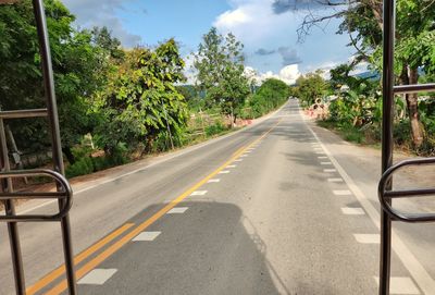 Empty road along trees and plants in city