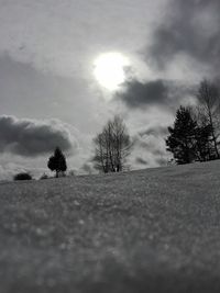 Trees on snow covered landscape against sky