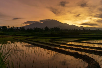  sunrise shining on the mountains and rice fields in the morning in indonesia