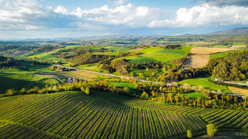 Scenic view of agricultural field against sky