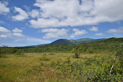 Scenic view of field against sky