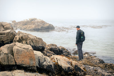 Rear view of man standing on rock by sea against clear sky