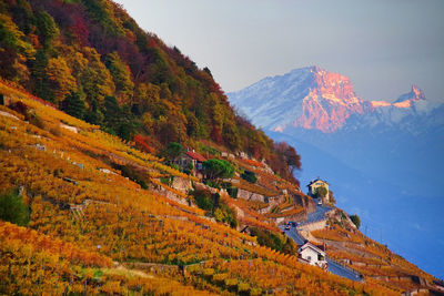 Scenic view of mountains against sky during autumn