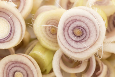 Lemongrass on white background