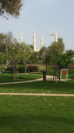 Trees and grass against sky