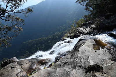 nature