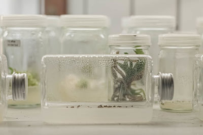 Close-up of glass jar on table