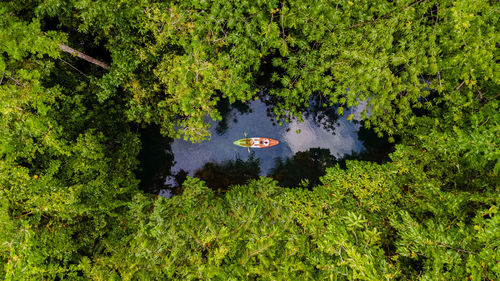 High angle view of trees in lake