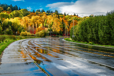 High angle view of road amidst trees against sky during autumn