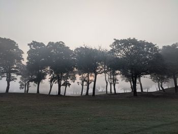 Trees on field against sky