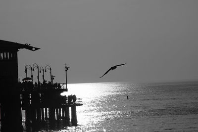 Silhouette birds on sea against clear sky during sunset