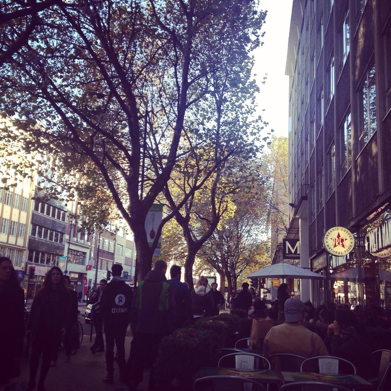 tree, building exterior, architecture, built structure, city, men, large group of people, person, city life, street, lifestyles, bare tree, leisure activity, walking, city street, outdoors, sky, day, clear sky