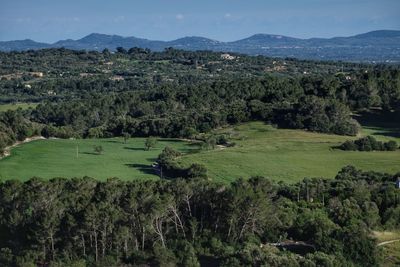 Scenic view of trees on field against sky