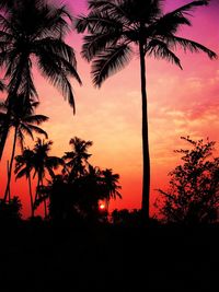 Silhouette palm trees against sky during sunset