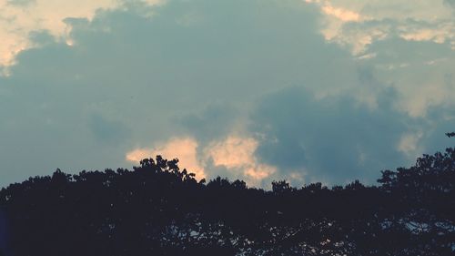 Low angle view of silhouette trees against sky