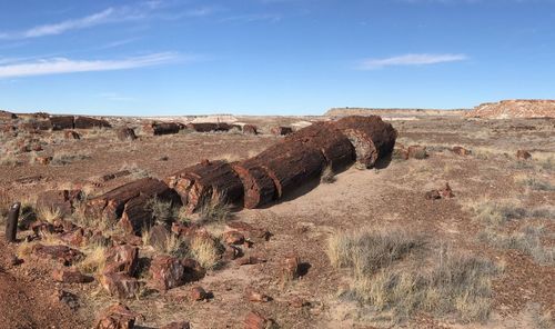 Rock formations on field against sky