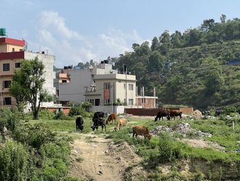 village