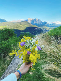 Summer bouquet in the mountains, dolomites, italy