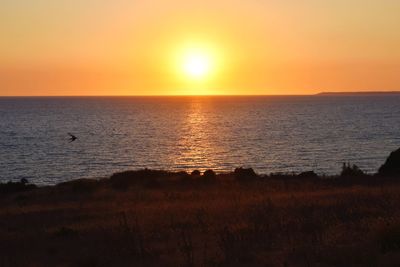 Scenic view of sea during sunset