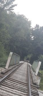 Aerial view of railroad tracks in forest against sky