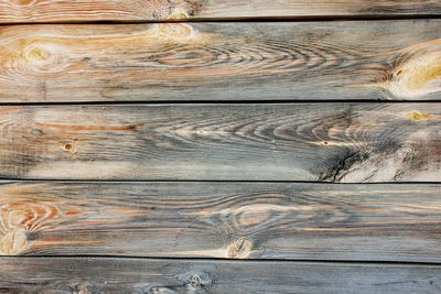 Close-up of wood