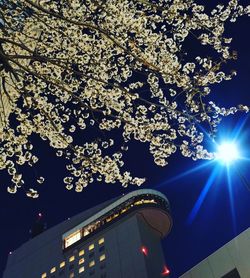 Low angle view of illuminated lights at night