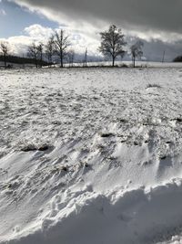 Bare trees on snow covered landscape