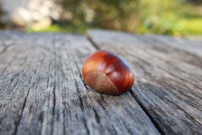wood