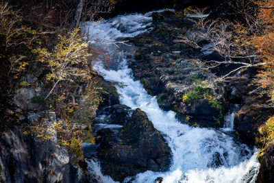 Scenic view of waterfall in forest