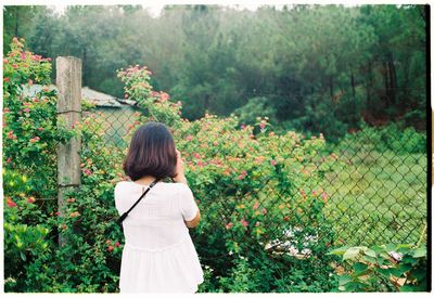 Rear view of woman standing on flowering plants