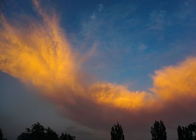 Low angle view of silhouette trees against sky during sunset