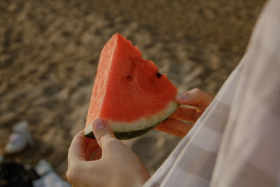 Midsection of person holding watermelon