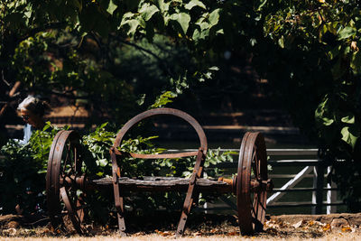 Abandoned chair by trees on field