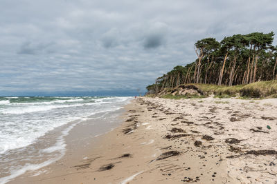 Scenic view of beach against sky