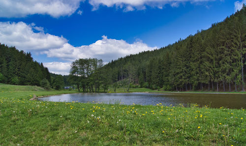 Scenic view of lake and trees against sky