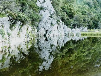 Full frame shot of rocks by trees