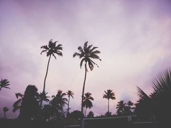 Low angle view of silhouette palm trees against sky