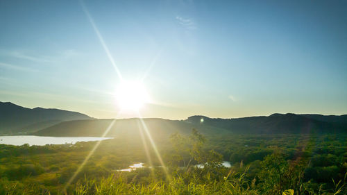 Scenic view of field against bright sun