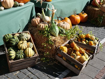 High angle view of pumpkins for sale at market stall